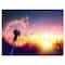 Designart - Dandelion at Sunset Freedom to Wish - Abstract Wall Art Canvas